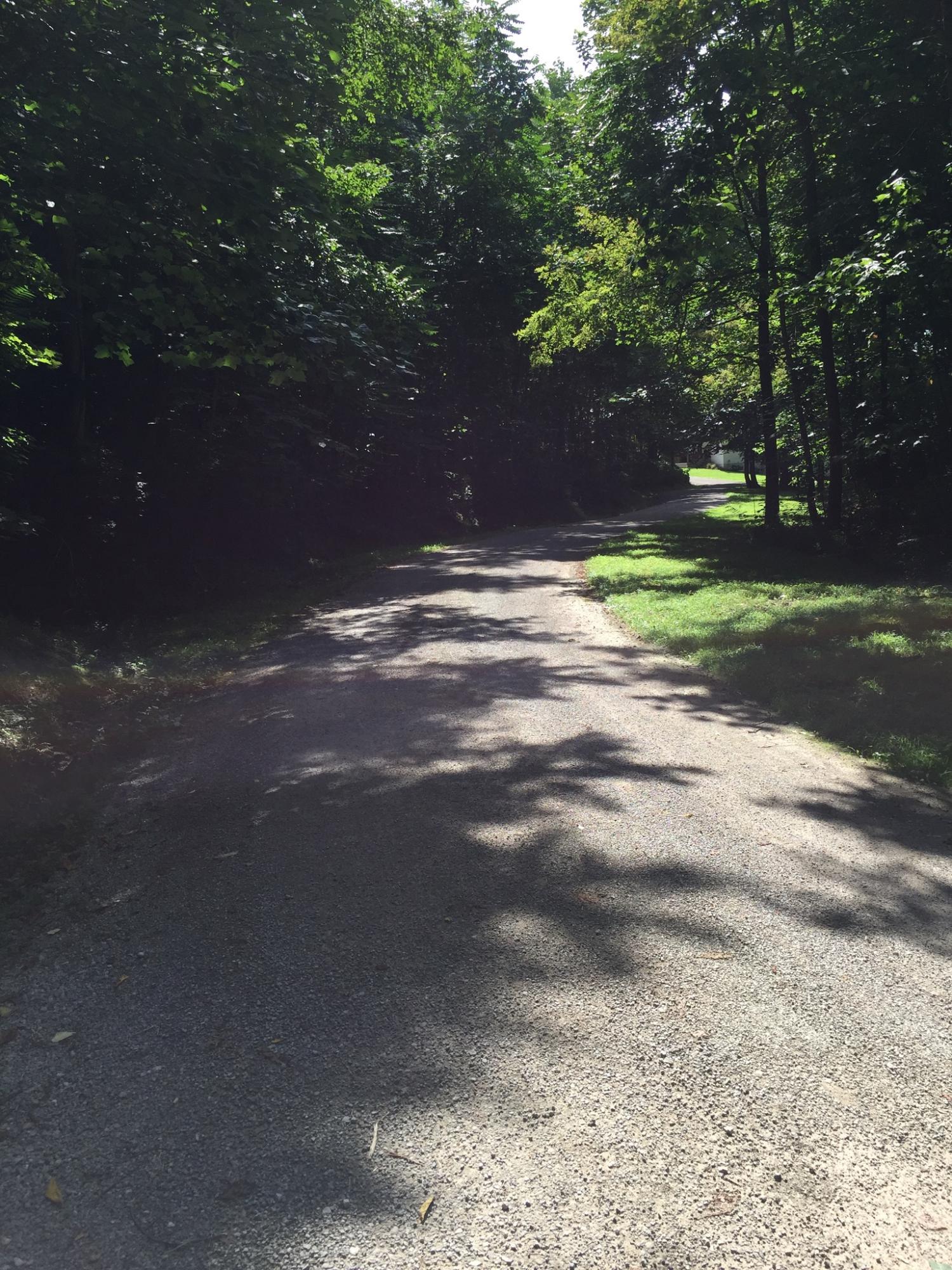 1502 Pine Top Road Bainbridge, OH 45612 - Photo 57 of 59