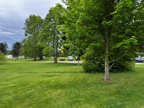 10716 County Line Road Greenville, PA 16125 - Photo 5 of 43 a view of green field with trees
