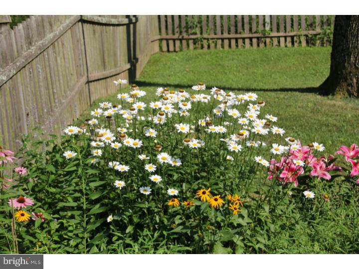 412 Church Road Hatfield, PA 19440 - Photo 21 of 25 Garden