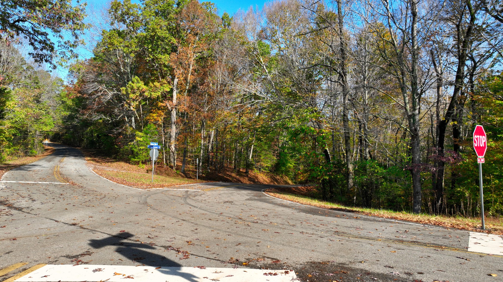 4 Shiloh Canaan Road Palmyra, TN 37142 - Photo 2 of 8 a view of a backyard of a house
