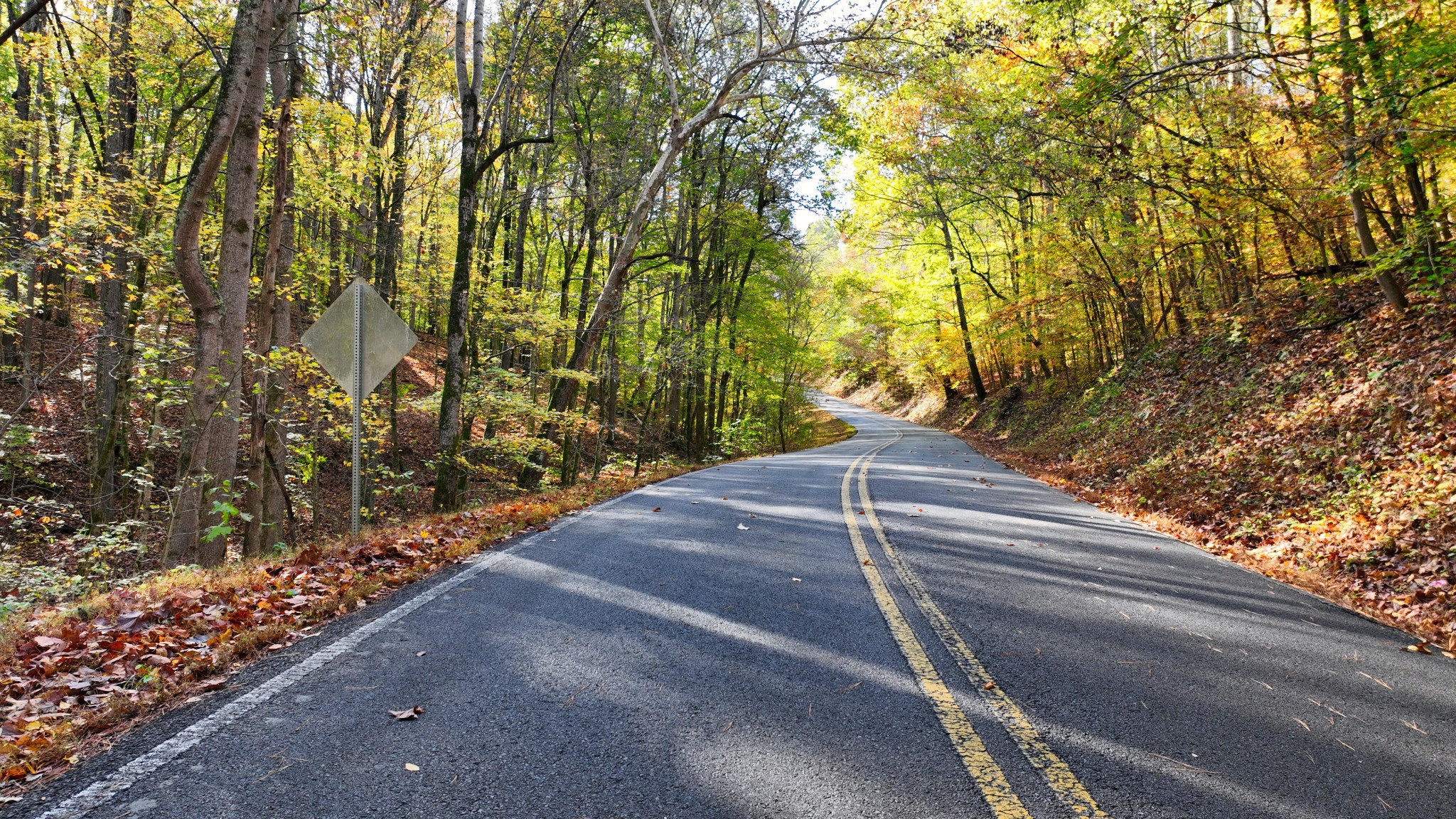 4 Shiloh Canaan Road Palmyra, TN 37142 - Photo 5 of 8 a view of a yard with plants and a trees