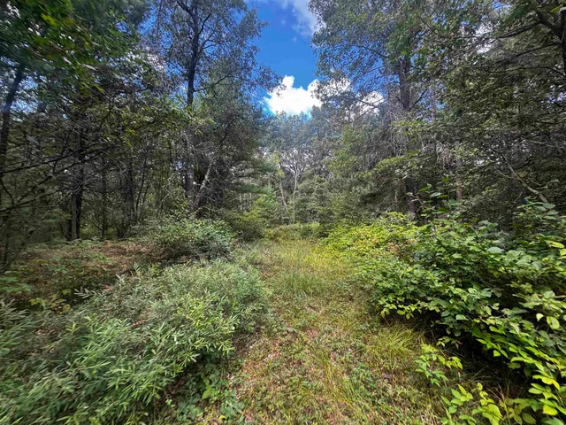 $400,000 | 80-ac 80-ac 13th Avenue, Arkdale, WI 54613