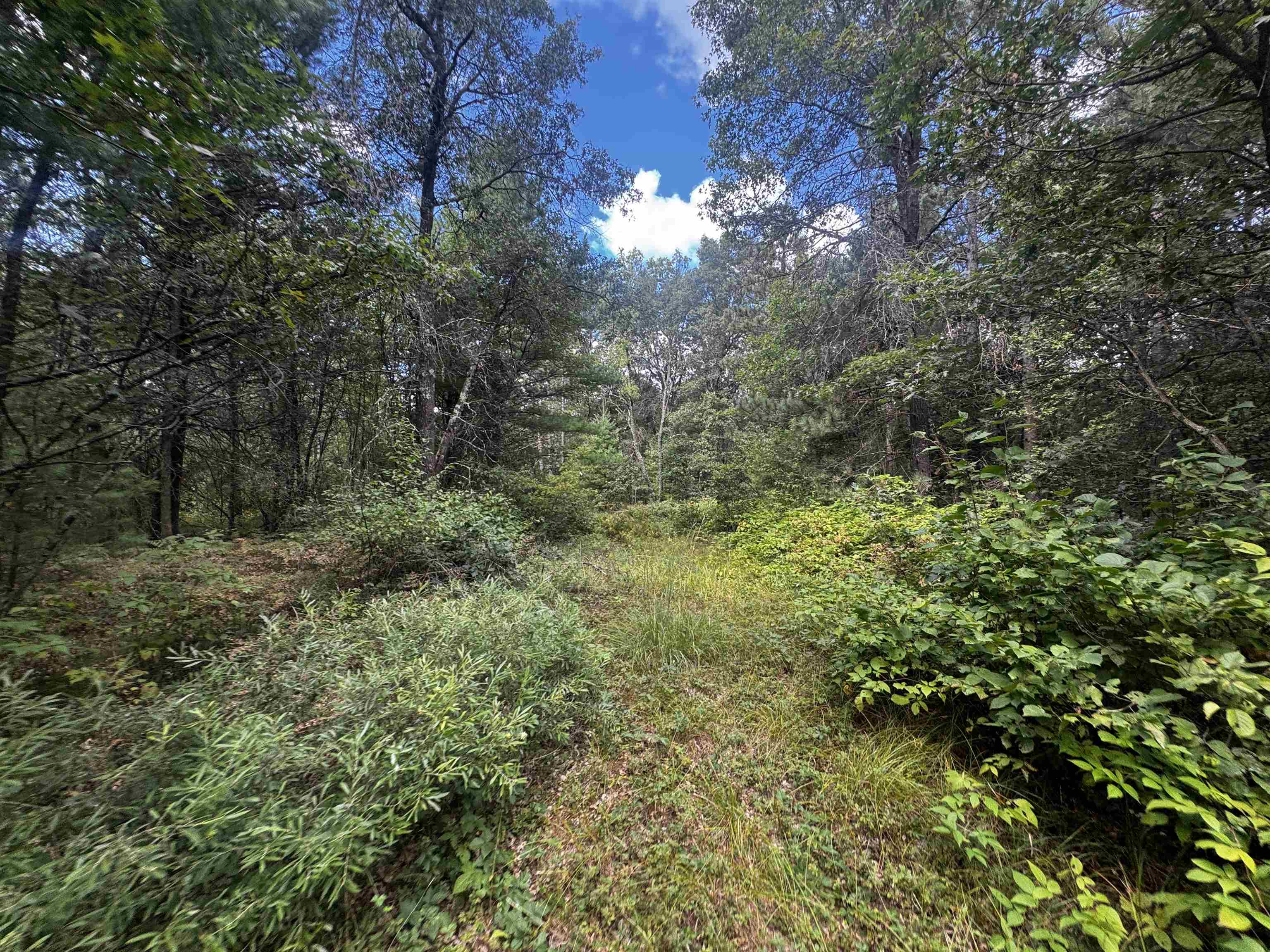 80-ac 80-ac 13th Avenue Arkdale, WI 54613 - Photo 11 of 35