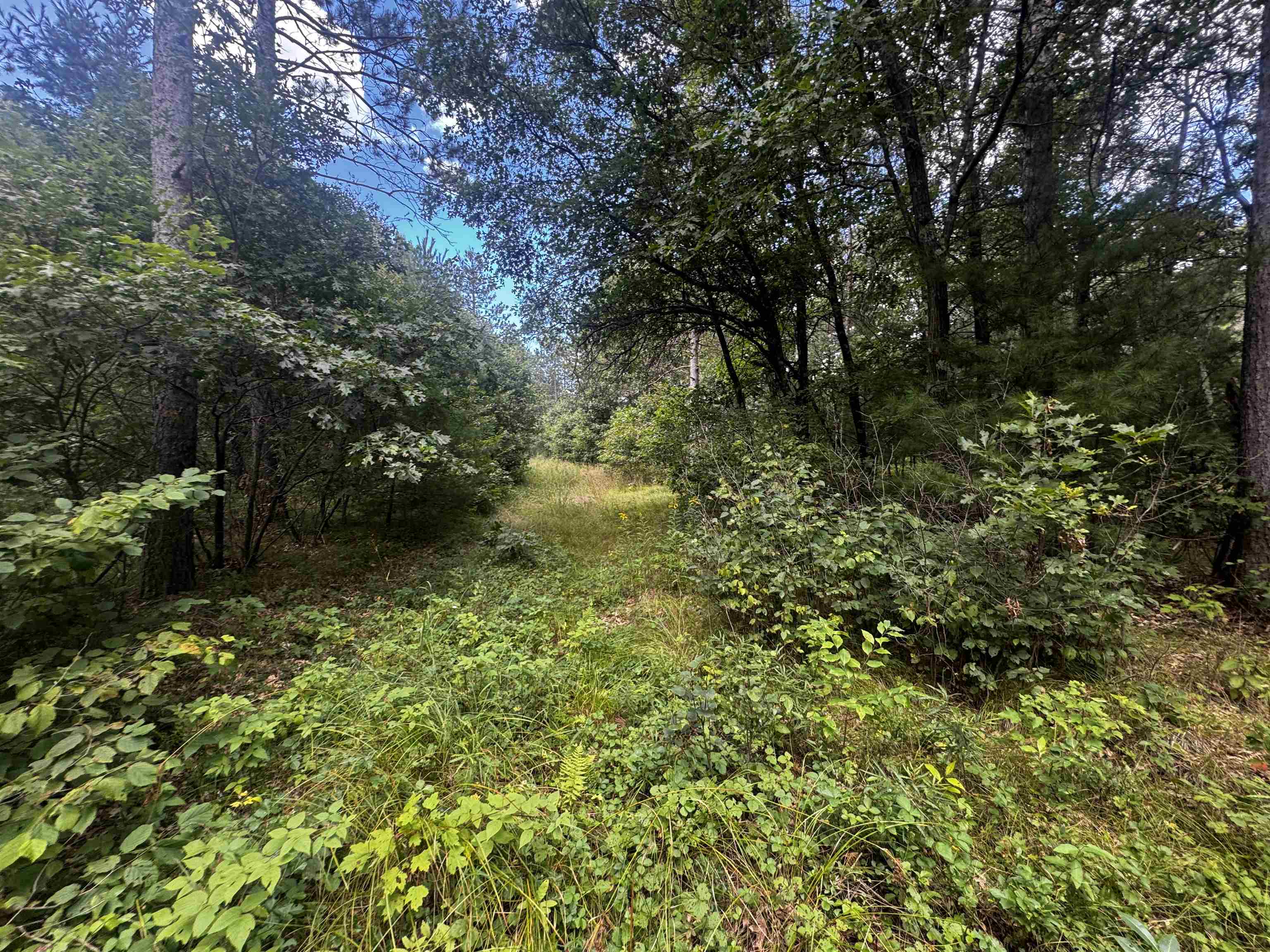 80-ac 80-ac 13th Avenue Arkdale, WI 54613 - Photo 12 of 35