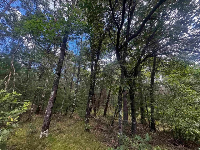 $400,000 | 80-ac 80-ac 13th Avenue, Arkdale, WI 54613