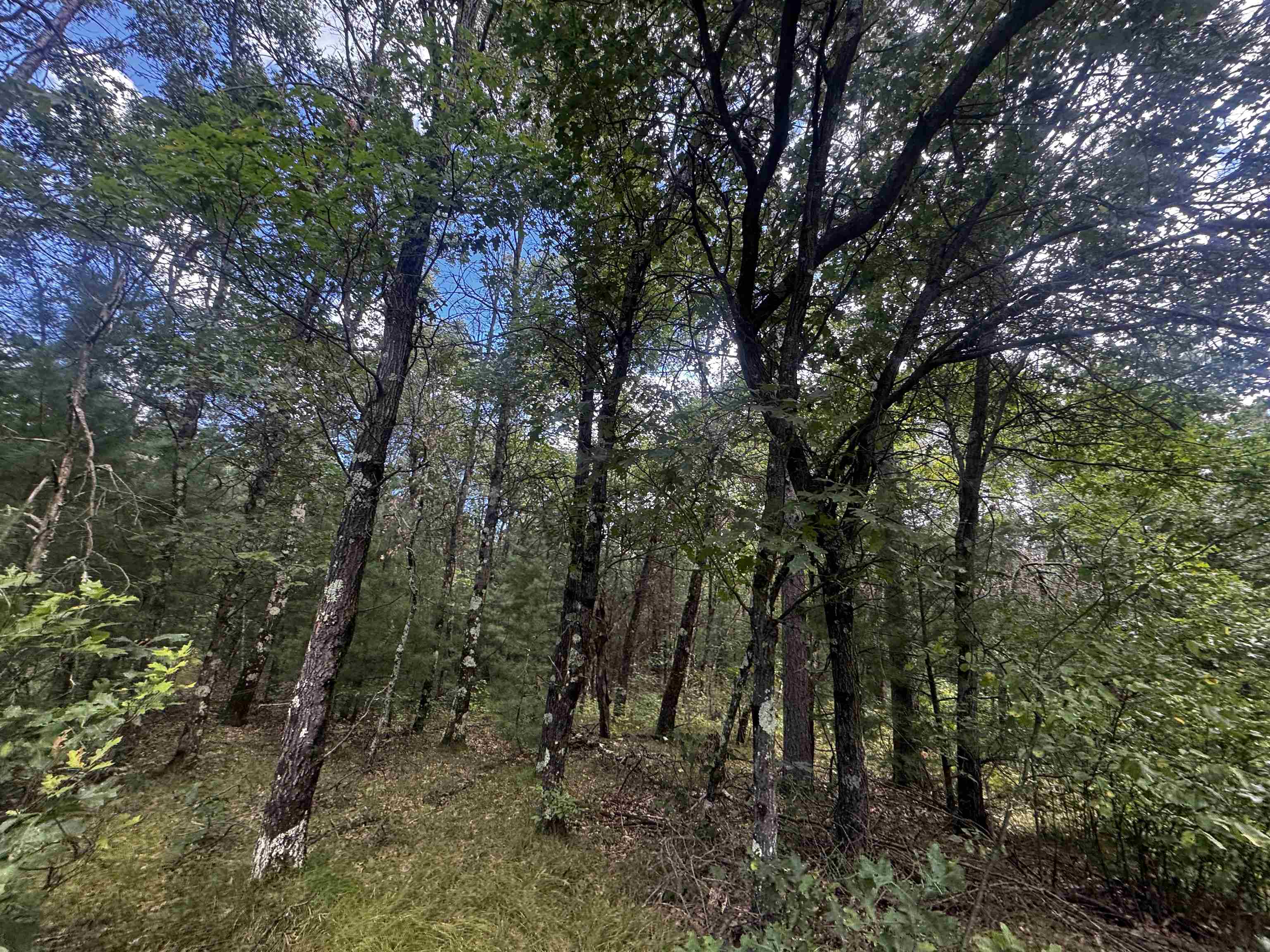 80-ac 80-ac 13th Avenue Arkdale, WI 54613 - Photo 13 of 35