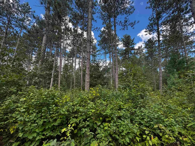 $400,000 | 80-ac 80-ac 13th Avenue, Arkdale, WI 54613