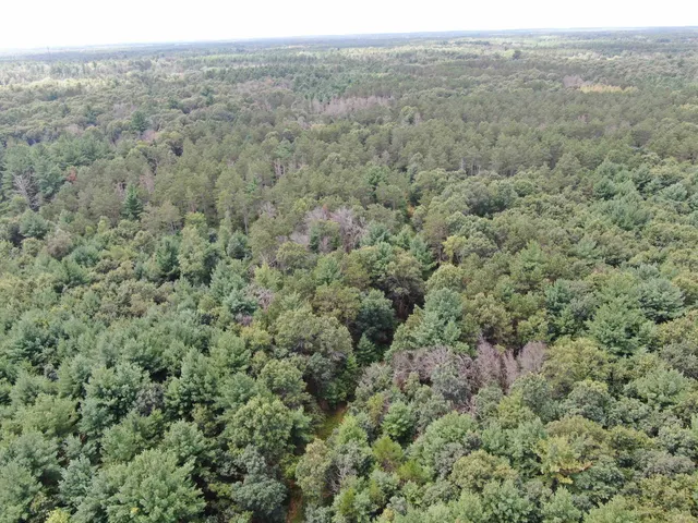 $400,000 | 80-ac 80-ac 13th Avenue, Arkdale, WI 54613