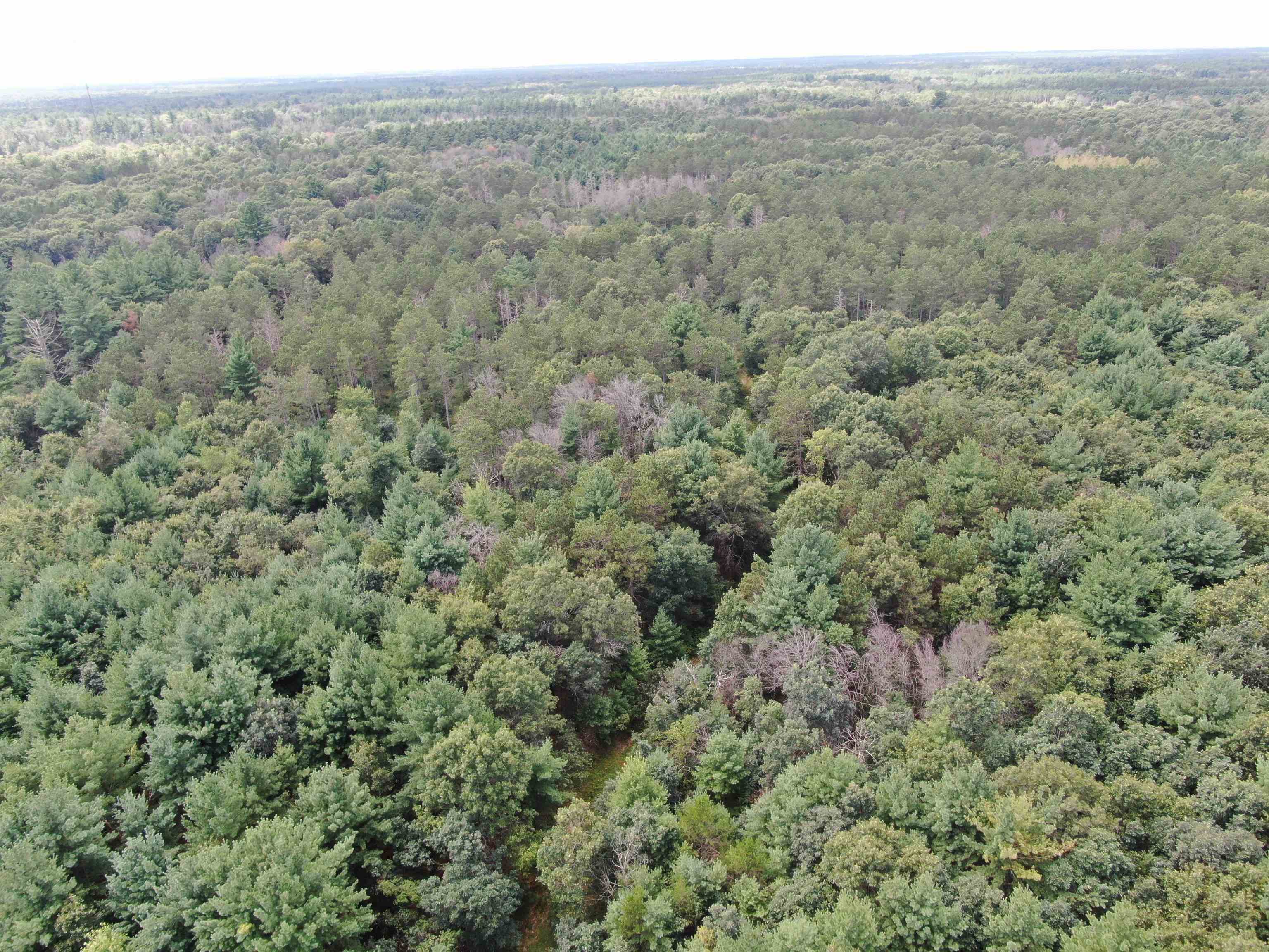 80-ac 80-ac 13th Avenue Arkdale, WI 54613 - Photo 15 of 35