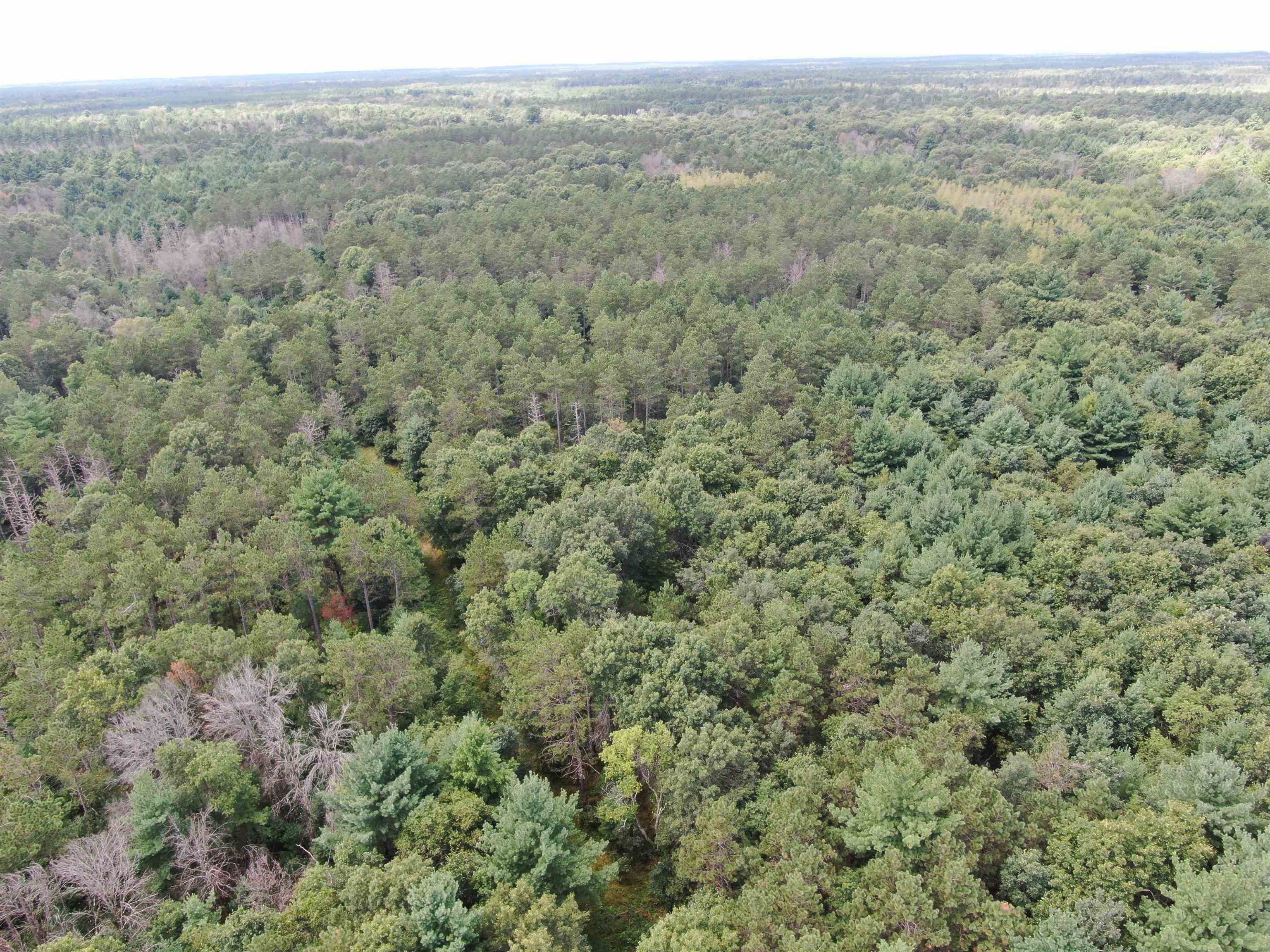 80-ac 80-ac 13th Avenue Arkdale, WI 54613 - Photo 16 of 35