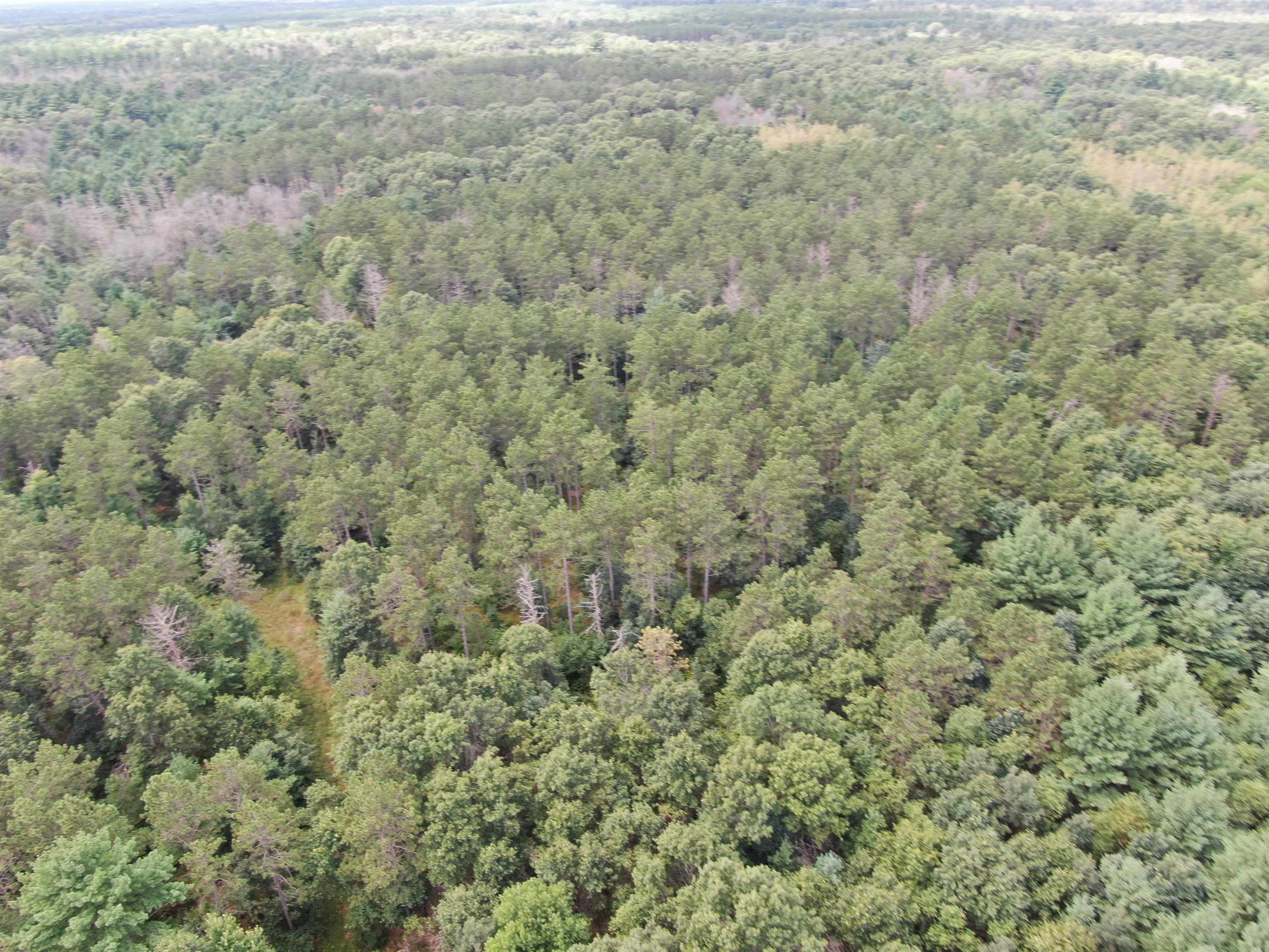 80-ac 80-ac 13th Avenue Arkdale, WI 54613 - Photo 17 of 35