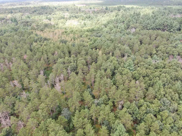 $400,000 | 80-ac 80-ac 13th Avenue, Arkdale, WI 54613