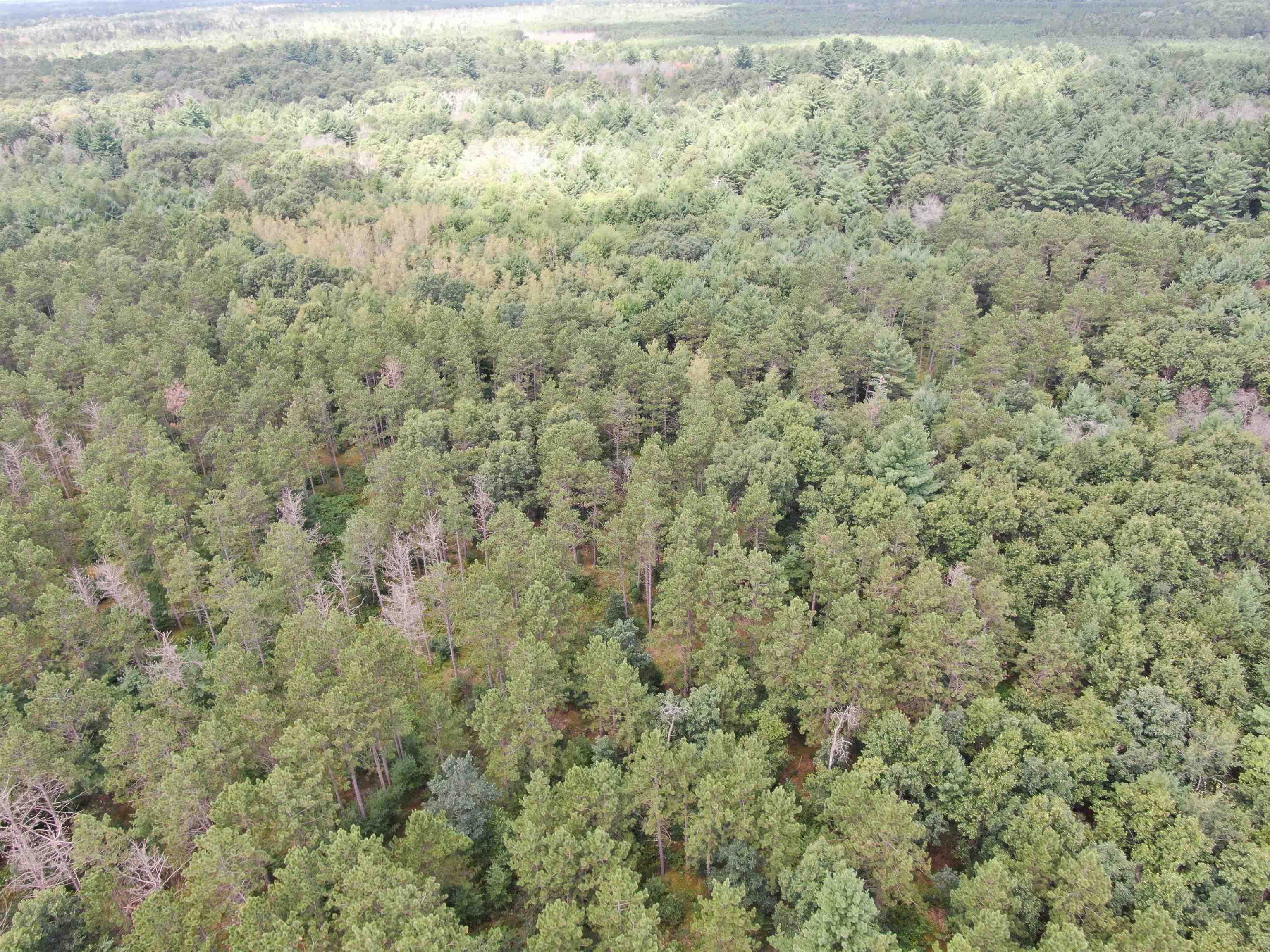 80-ac 80-ac 13th Avenue Arkdale, WI 54613 - Photo 18 of 35