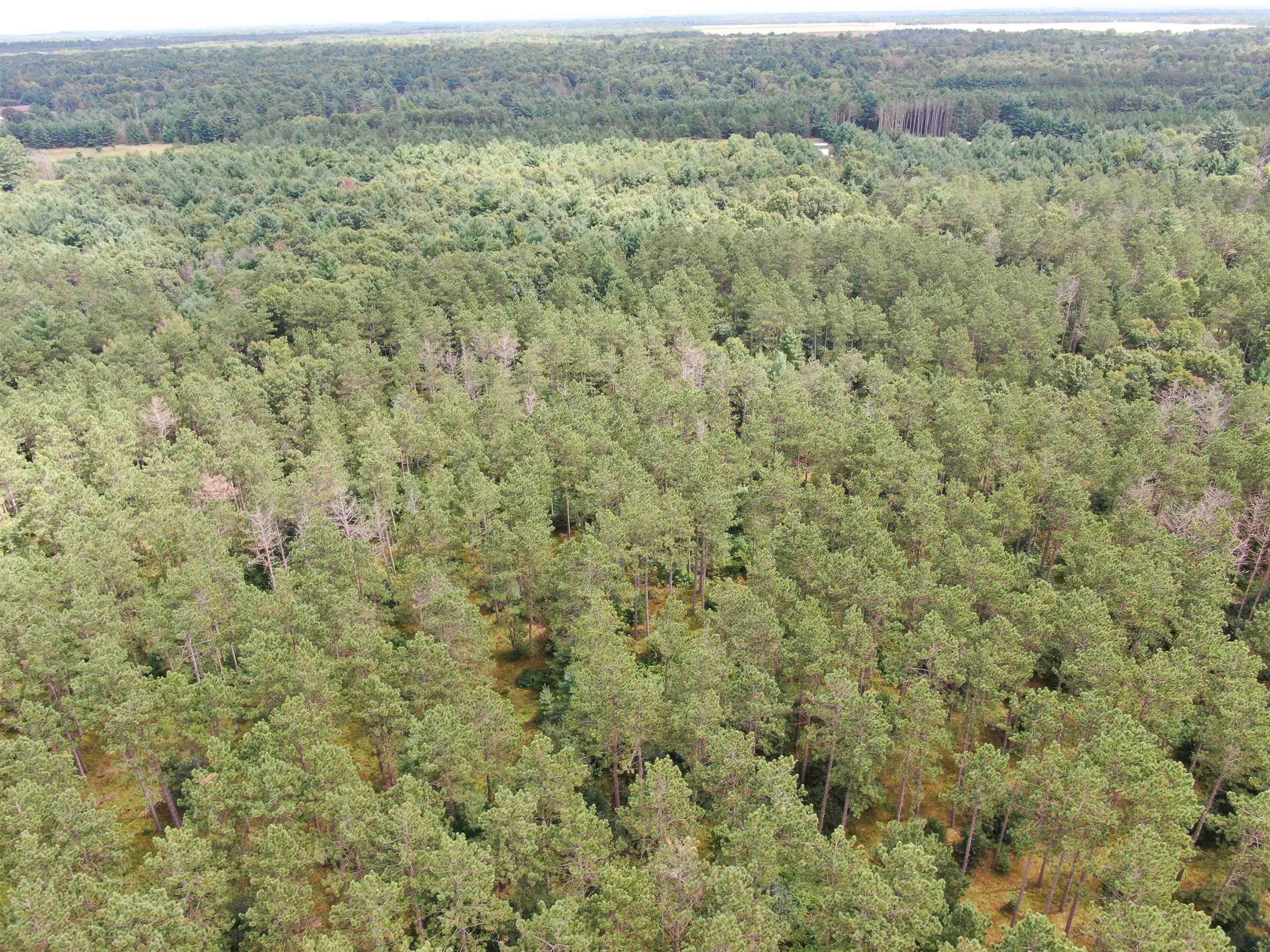 80-ac 80-ac 13th Avenue Arkdale, WI 54613 - Photo 19 of 35