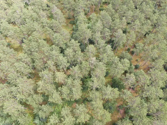 $400,000 | 80-ac 80-ac 13th Avenue, Arkdale, WI 54613