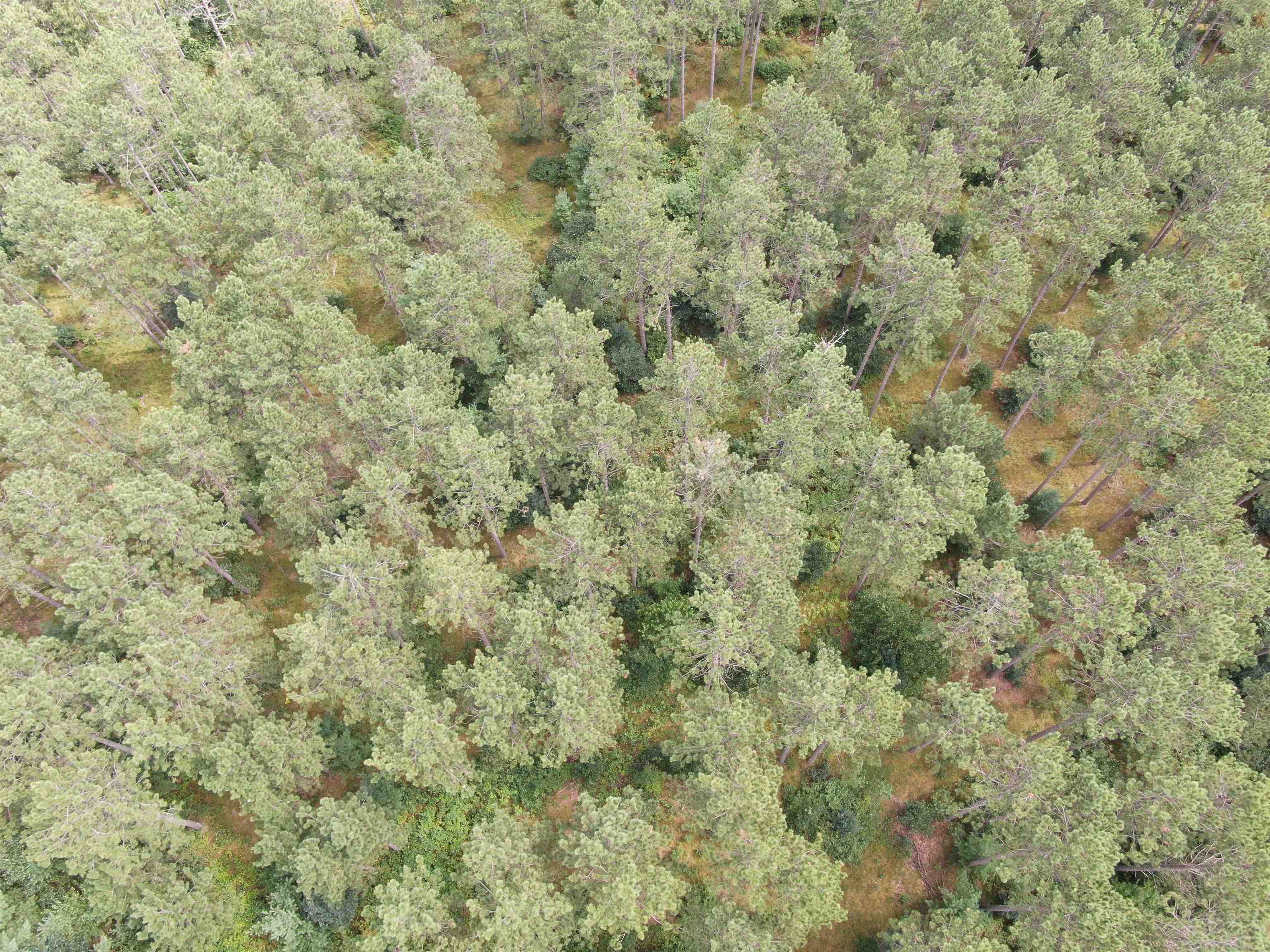 80-ac 80-ac 13th Avenue Arkdale, WI 54613 - Photo 20 of 35