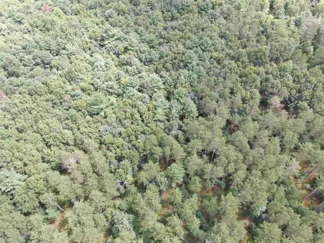 $400,000 | 80-ac 80-ac 13th Avenue, Arkdale, WI 54613