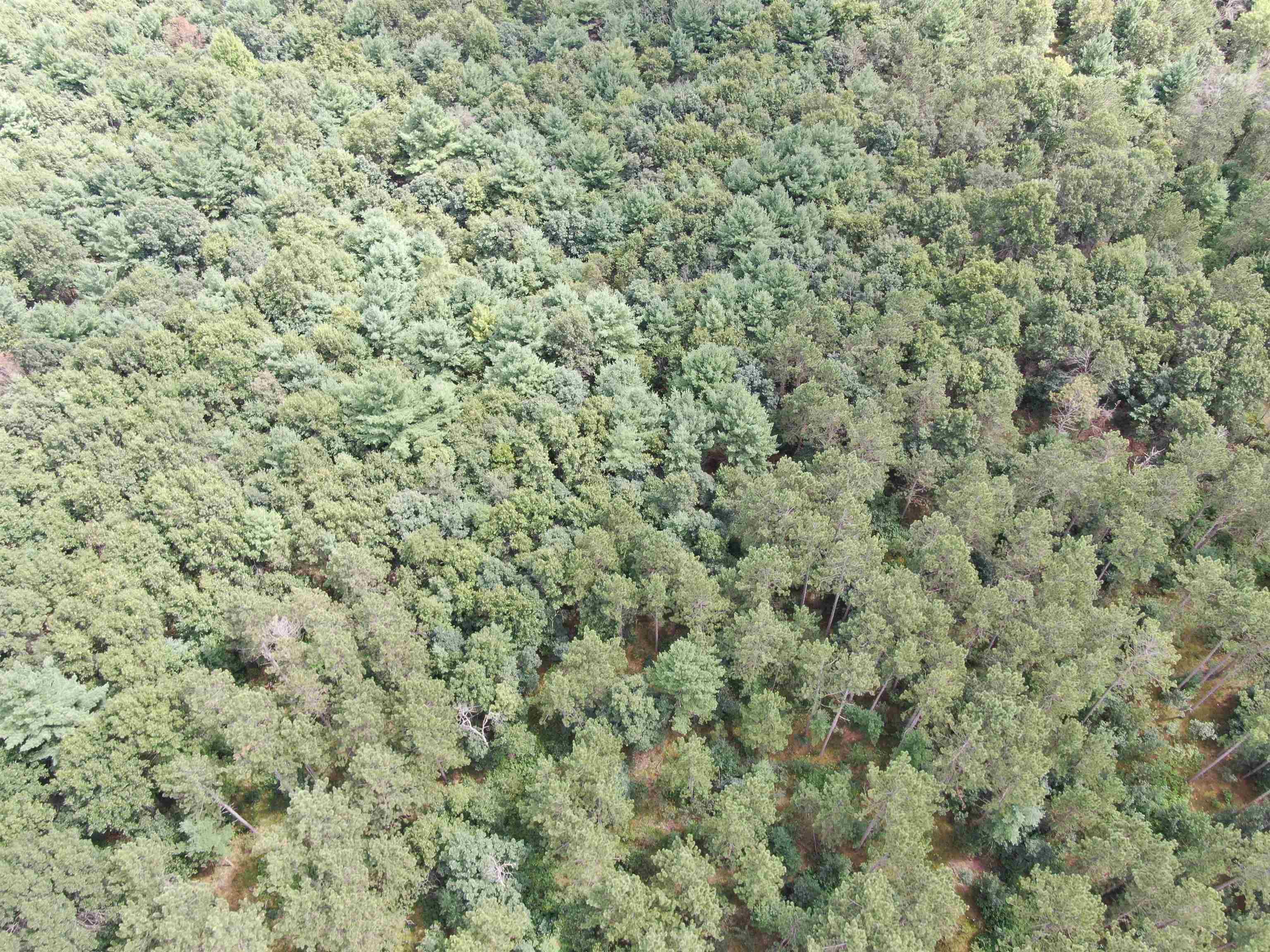 80-ac 80-ac 13th Avenue Arkdale, WI 54613 - Photo 21 of 35