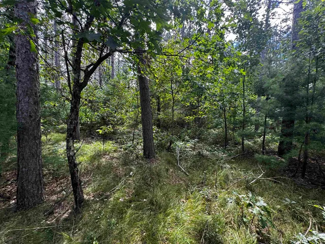 $400,000 | 80-ac 80-ac 13th Avenue, Arkdale, WI 54613