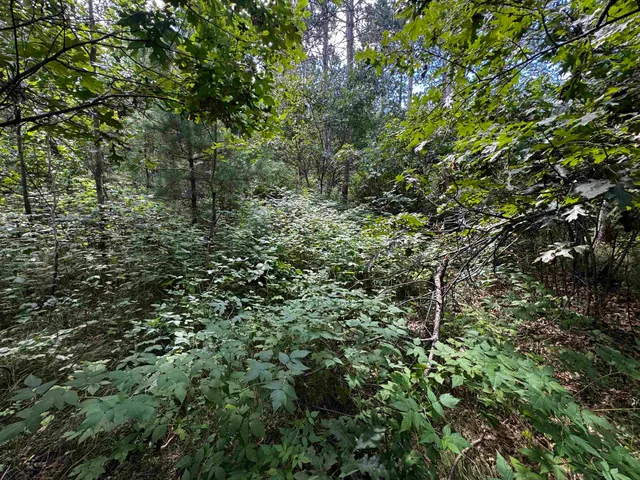 $400,000 | 80-ac 80-ac 13th Avenue, Arkdale, WI 54613