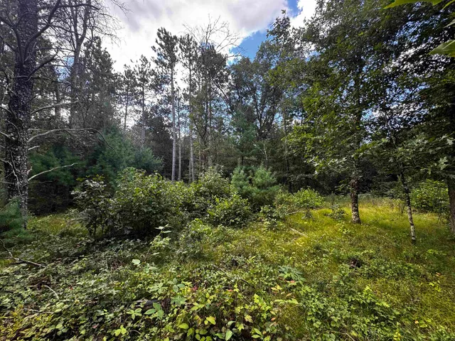 $400,000 | 80-ac 80-ac 13th Avenue, Arkdale, WI 54613