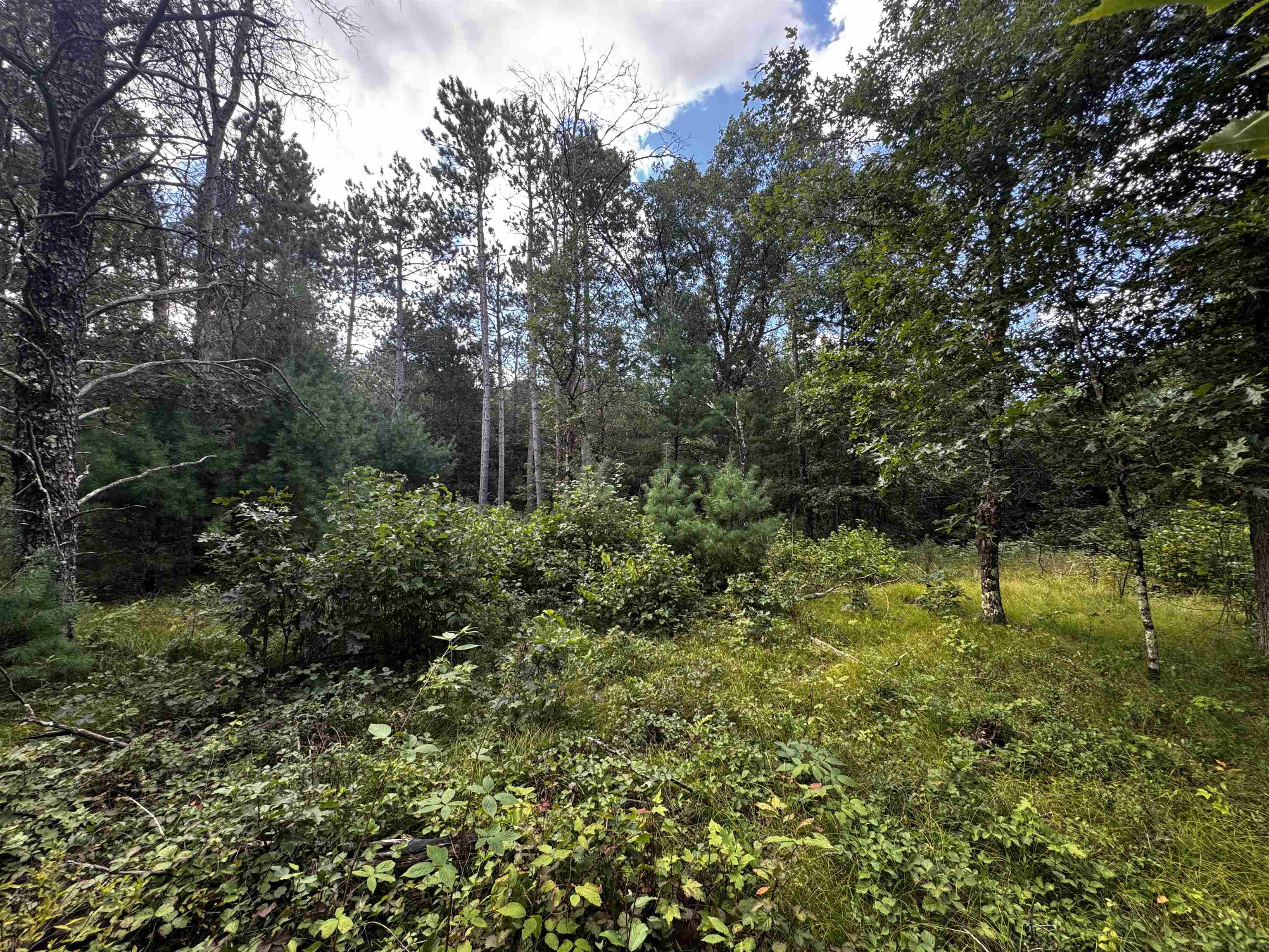 80-ac 80-ac 13th Avenue Arkdale, WI 54613 - Photo 24 of 35