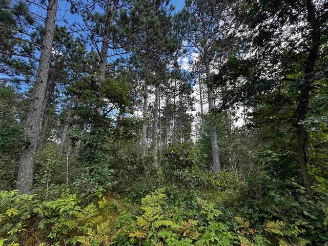 $400,000 | 80-ac 80-ac 13th Avenue, Arkdale, WI 54613