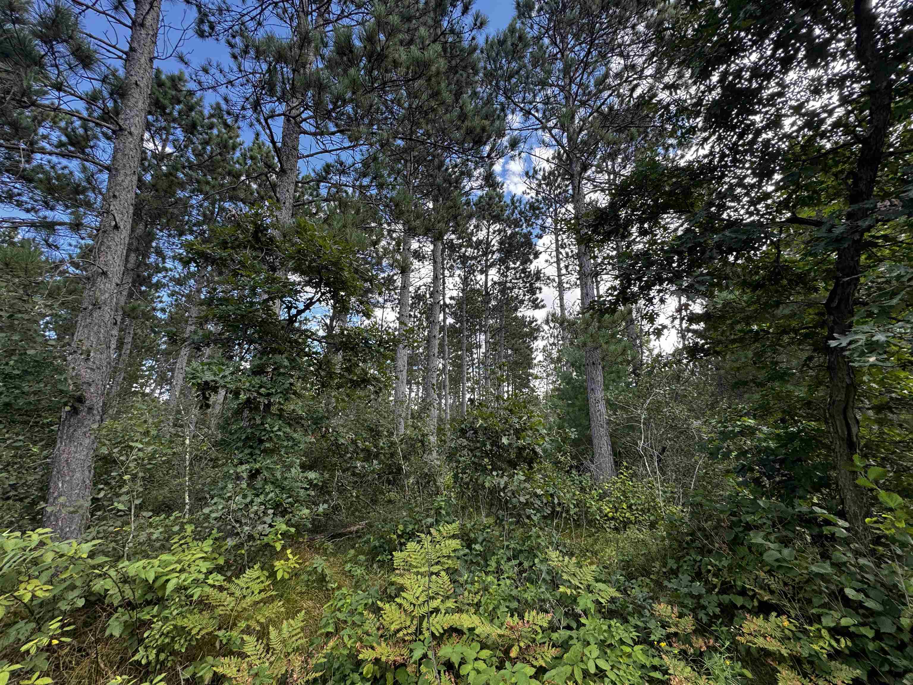 80-ac 80-ac 13th Avenue Arkdale, WI 54613 - Photo 25 of 35