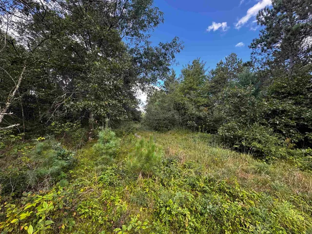 $400,000 | 80-ac 80-ac 13th Avenue, Arkdale, WI 54613