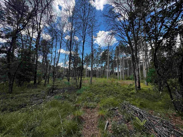 $400,000 | 80-ac 80-ac 13th Avenue, Arkdale, WI 54613