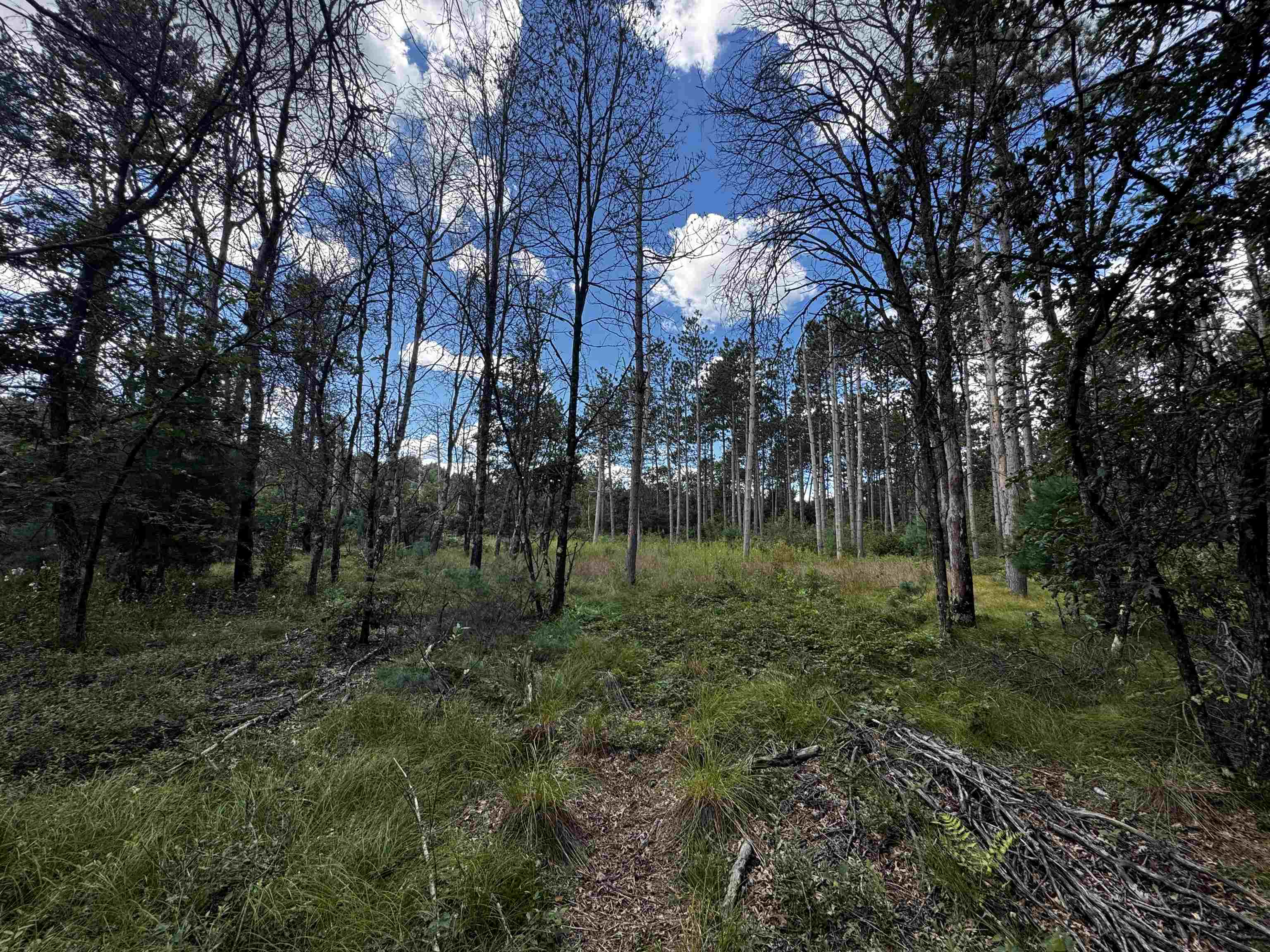 80-ac 80-ac 13th Avenue Arkdale, WI 54613 - Photo 27 of 35