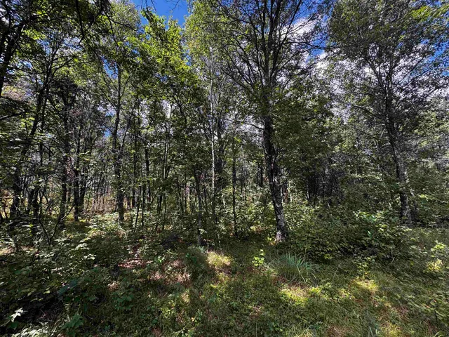 $400,000 | 80-ac 80-ac 13th Avenue, Arkdale, WI 54613