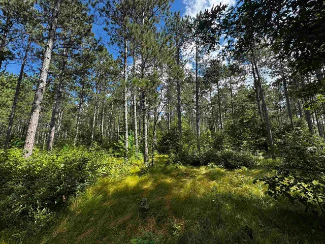 $400,000 | 80-ac 80-ac 13th Avenue, Arkdale, WI 54613