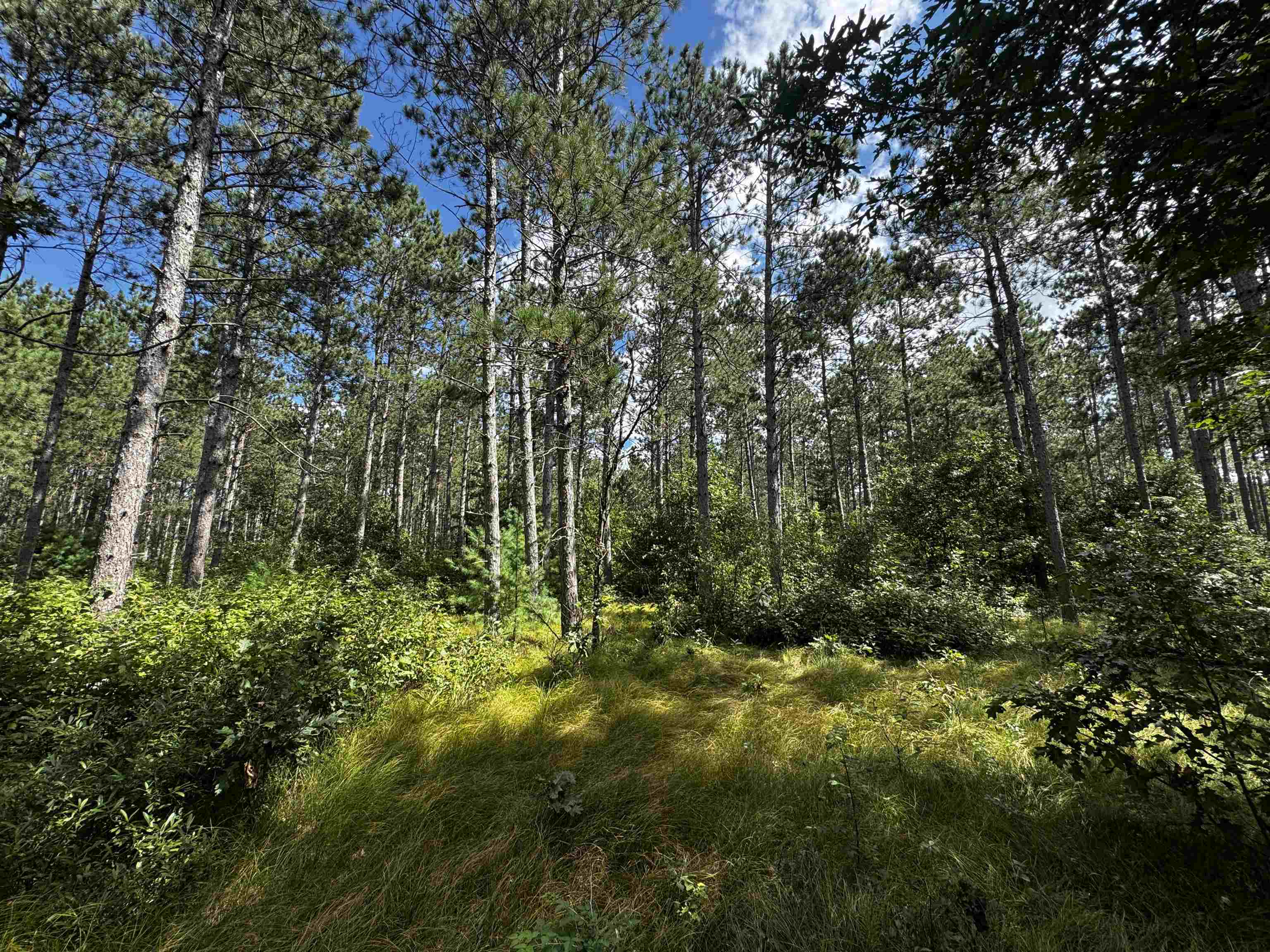 80-ac 80-ac 13th Avenue Arkdale, WI 54613 - Photo 29 of 35