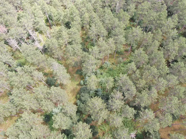 $400,000 | 80-ac 80-ac 13th Avenue, Arkdale, WI 54613