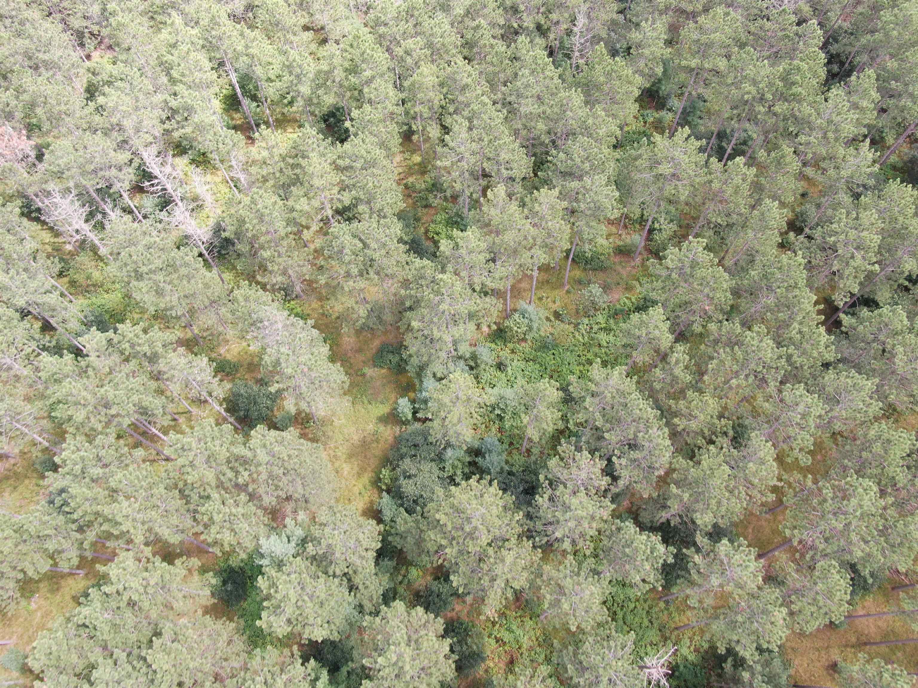 80-ac 80-ac 13th Avenue Arkdale, WI 54613 - Photo 30 of 35