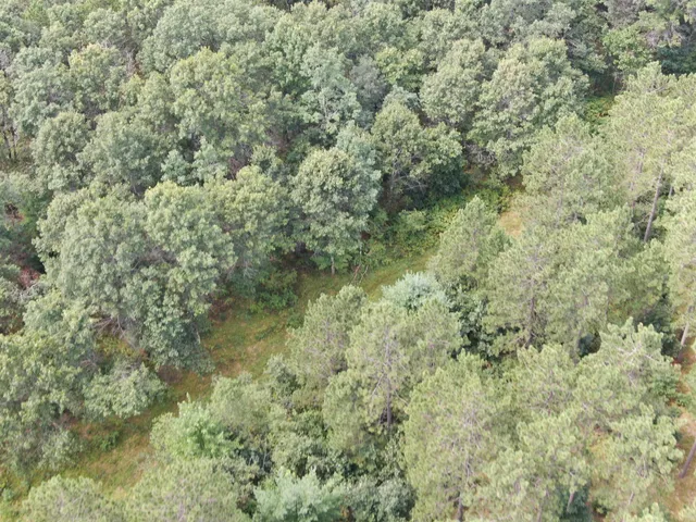 $400,000 | 80-ac 80-ac 13th Avenue, Arkdale, WI 54613