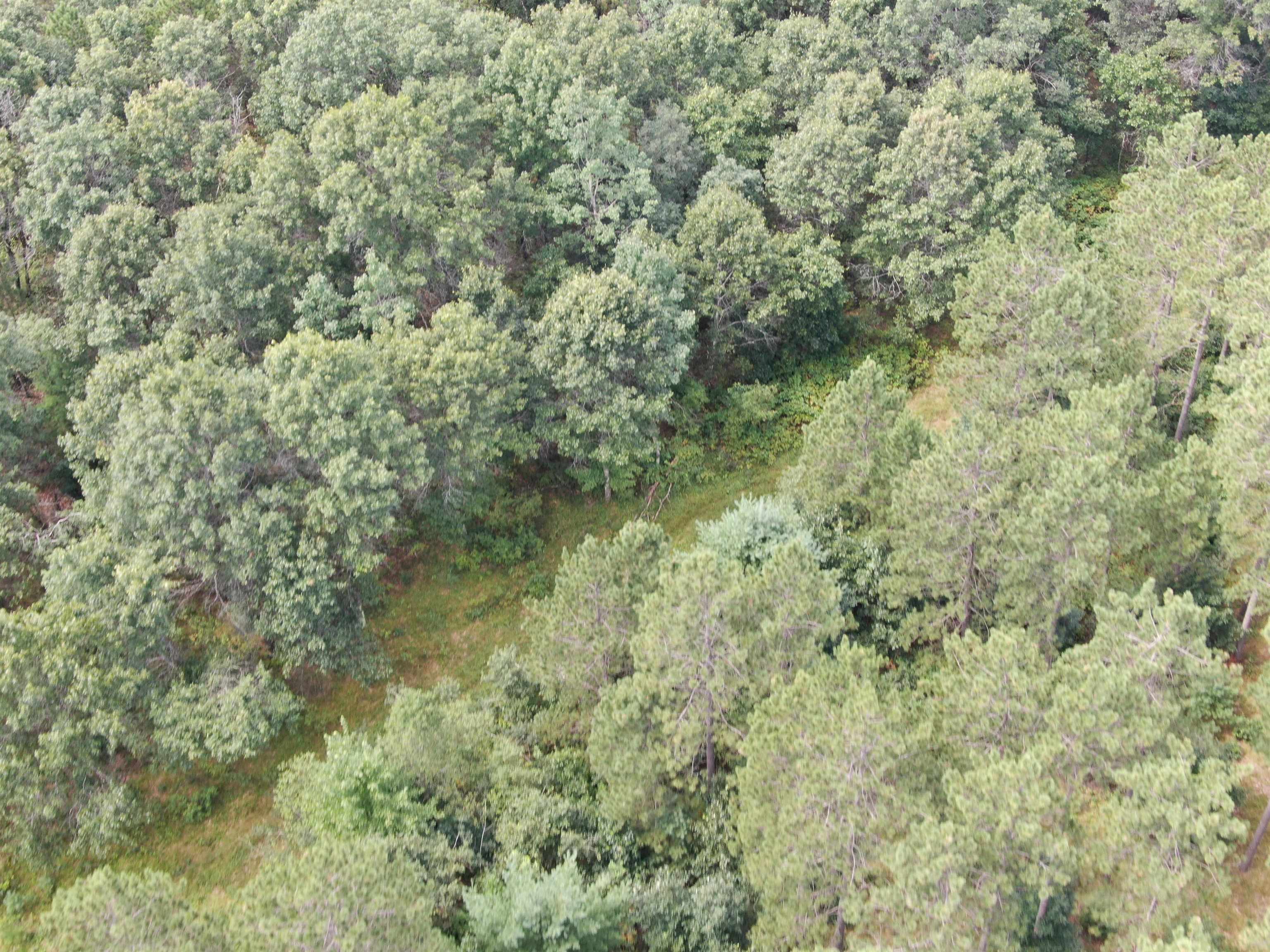 80-ac 80-ac 13th Avenue Arkdale, WI 54613 - Photo 3 of 35