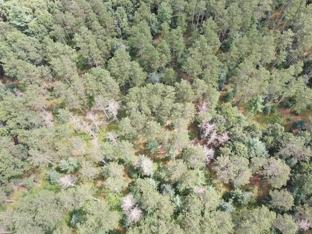 $400,000 | 80-ac 80-ac 13th Avenue, Arkdale, WI 54613