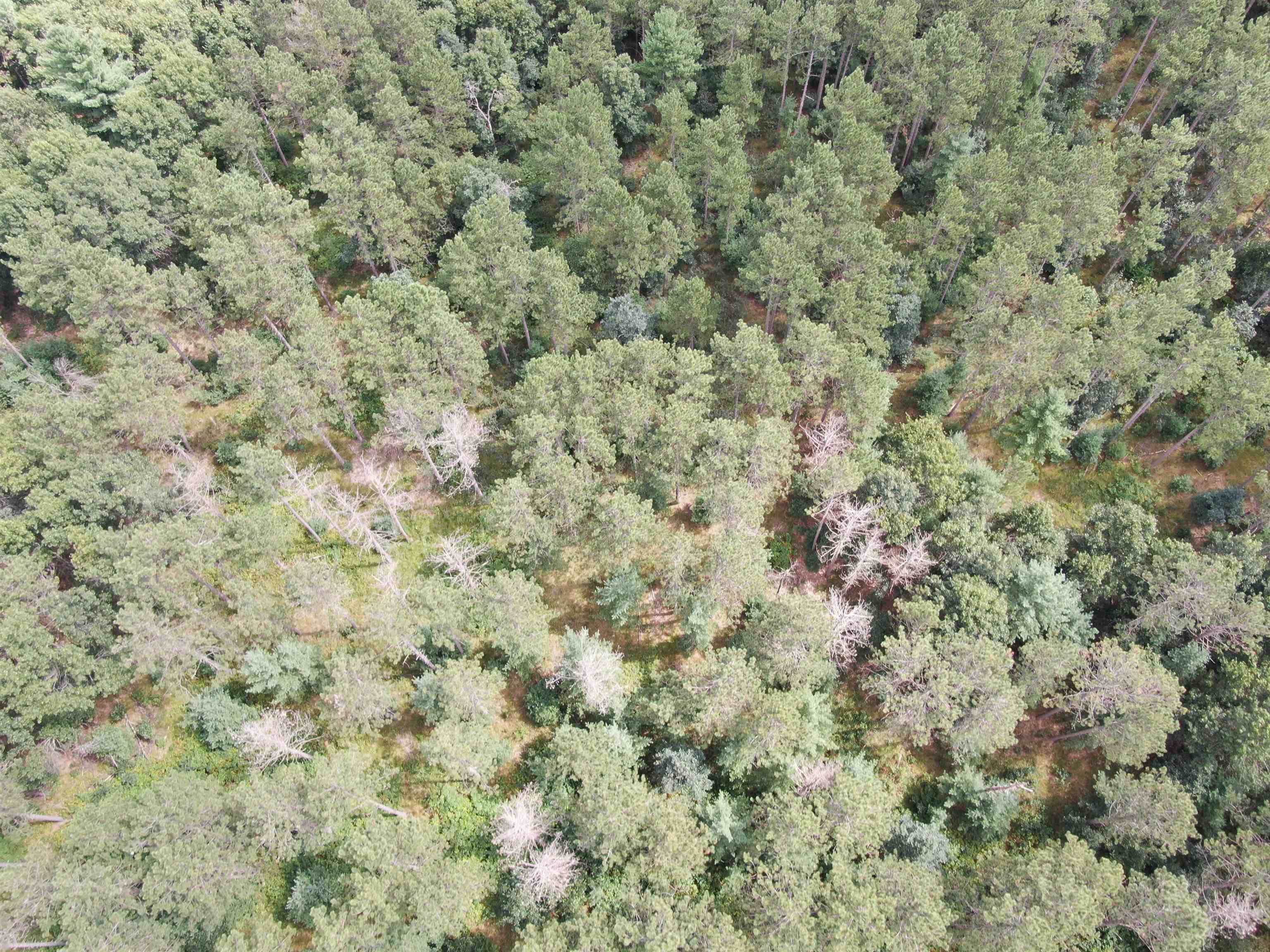 80-ac 80-ac 13th Avenue Arkdale, WI 54613 - Photo 31 of 35