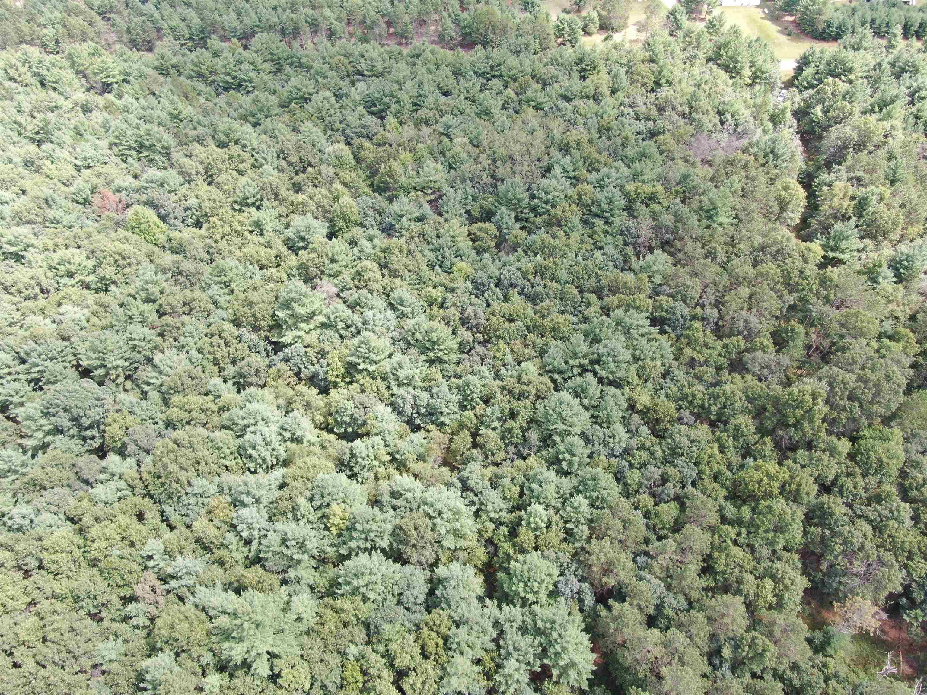 80-ac 80-ac 13th Avenue Arkdale, WI 54613 - Photo 32 of 35