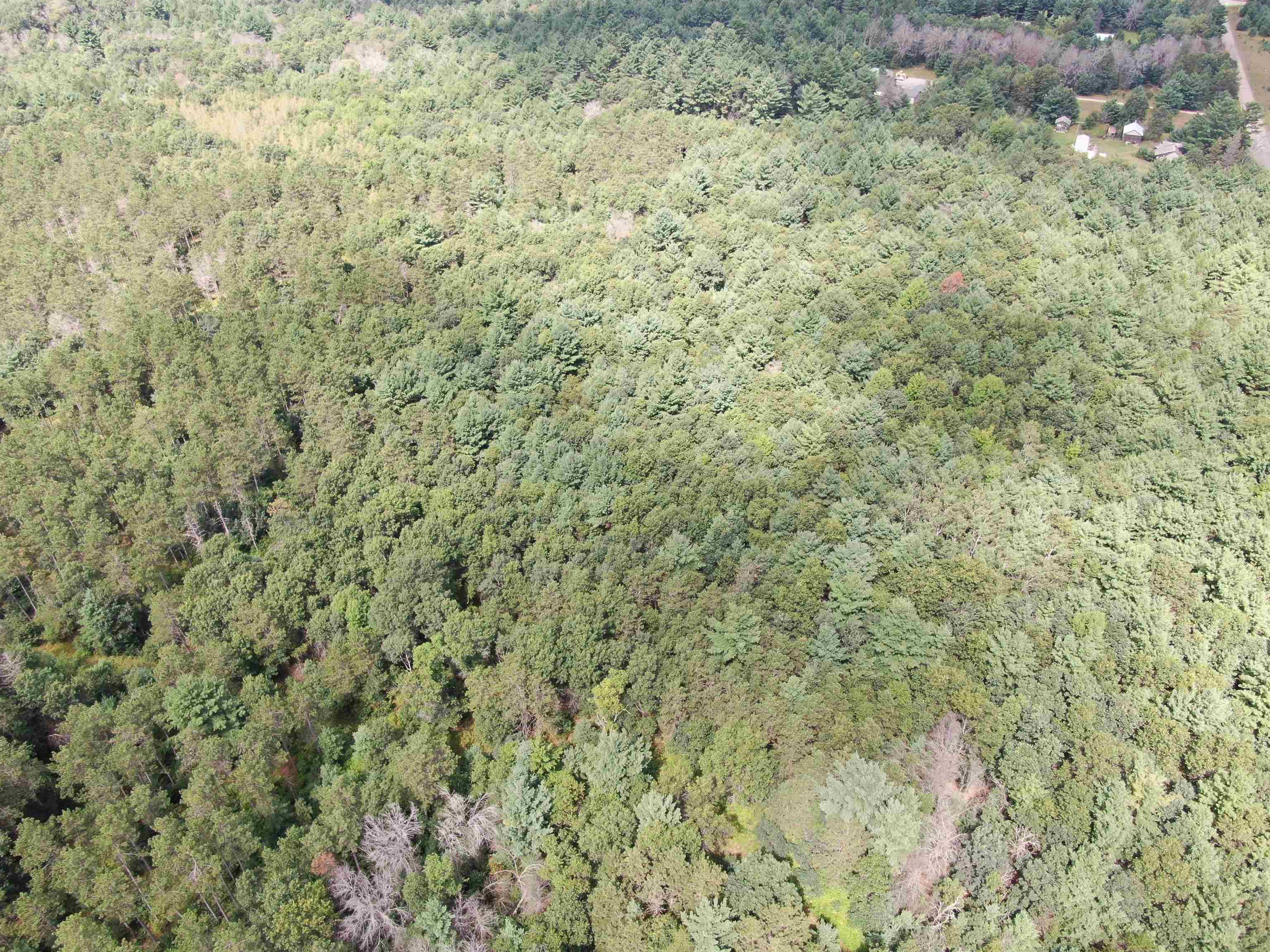 80-ac 80-ac 13th Avenue Arkdale, WI 54613 - Photo 33 of 35