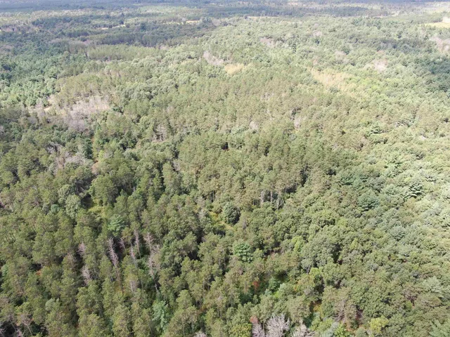 $400,000 | 80-ac 80-ac 13th Avenue, Arkdale, WI 54613