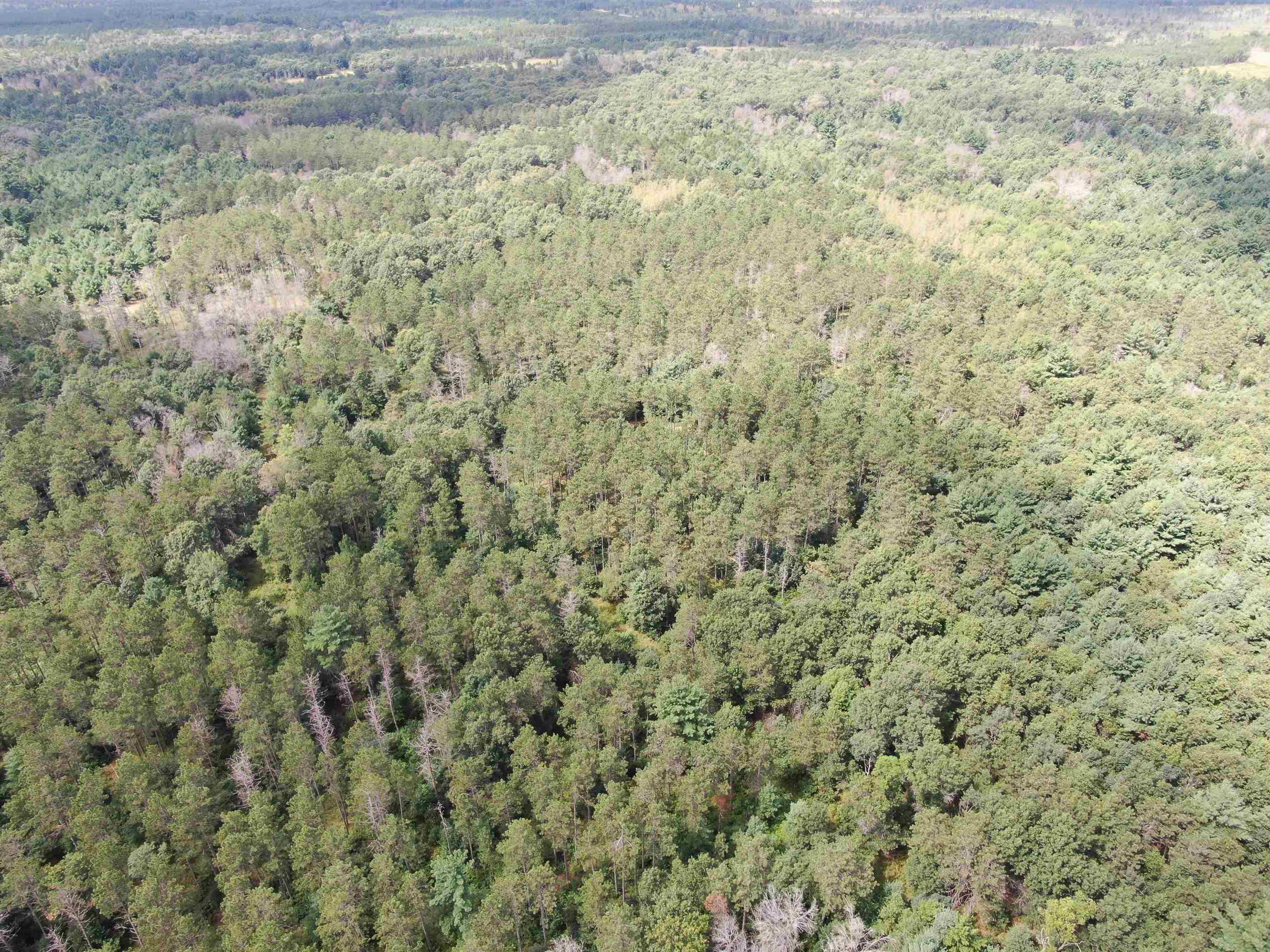 80-ac 80-ac 13th Avenue Arkdale, WI 54613 - Photo 34 of 35