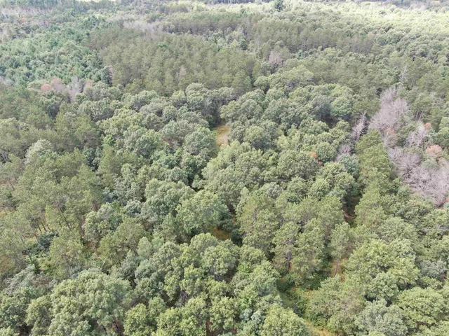 $400,000 | 80-ac 80-ac 13th Avenue, Arkdale, WI 54613