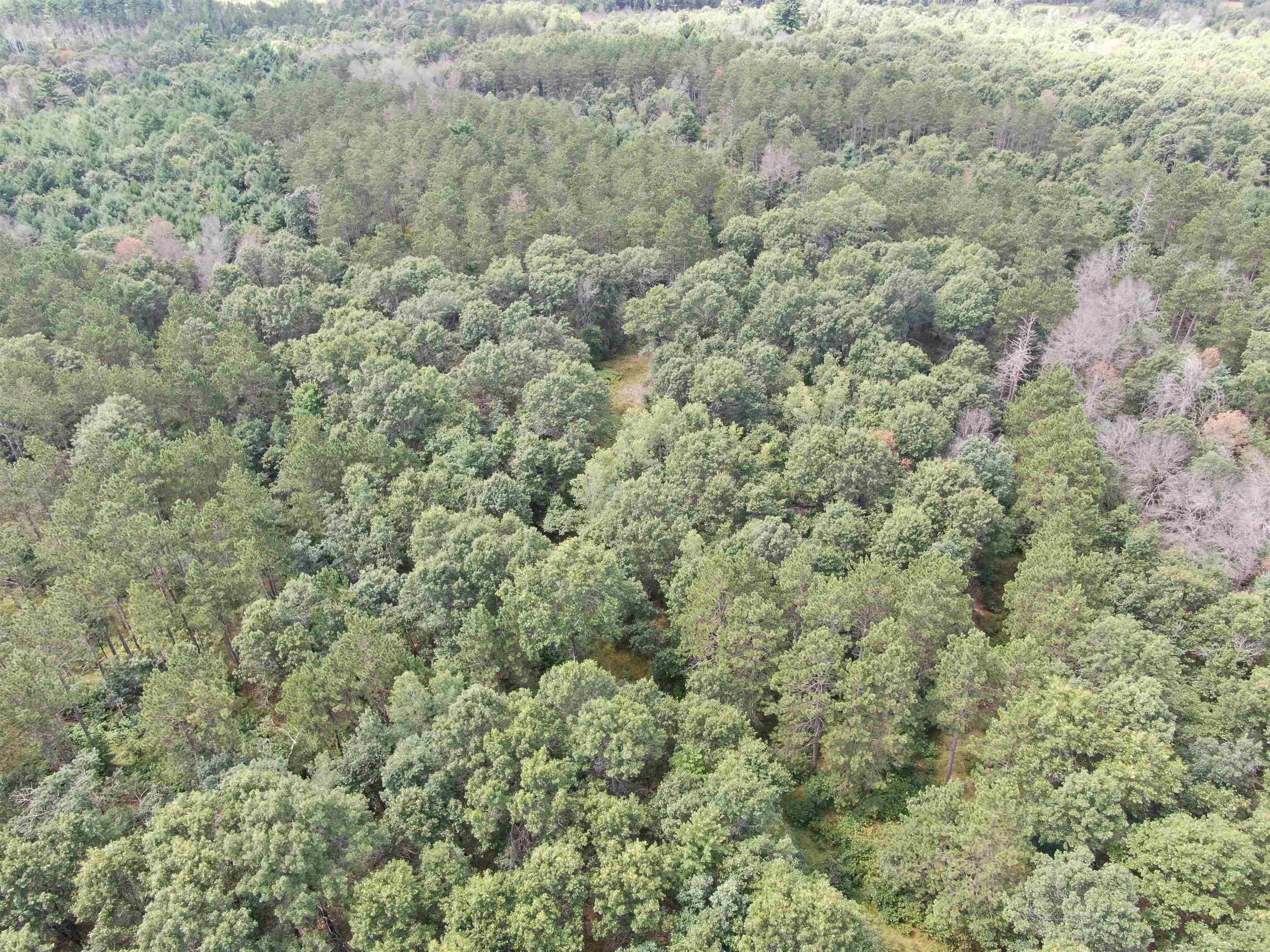 80-ac 80-ac 13th Avenue Arkdale, WI 54613 - Photo 5 of 35