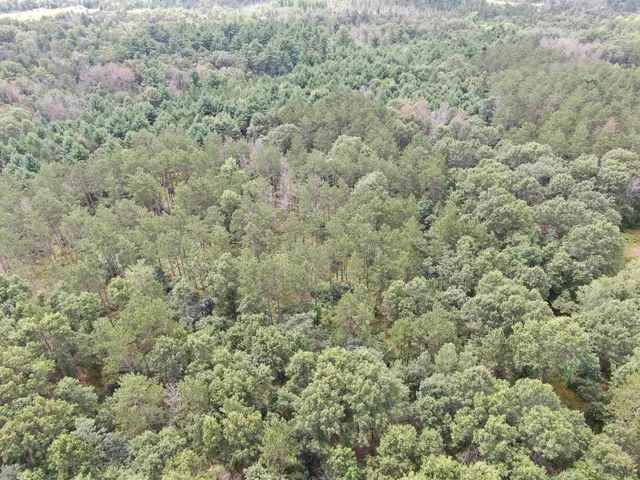 $400,000 | 80-ac 80-ac 13th Avenue, Arkdale, WI 54613