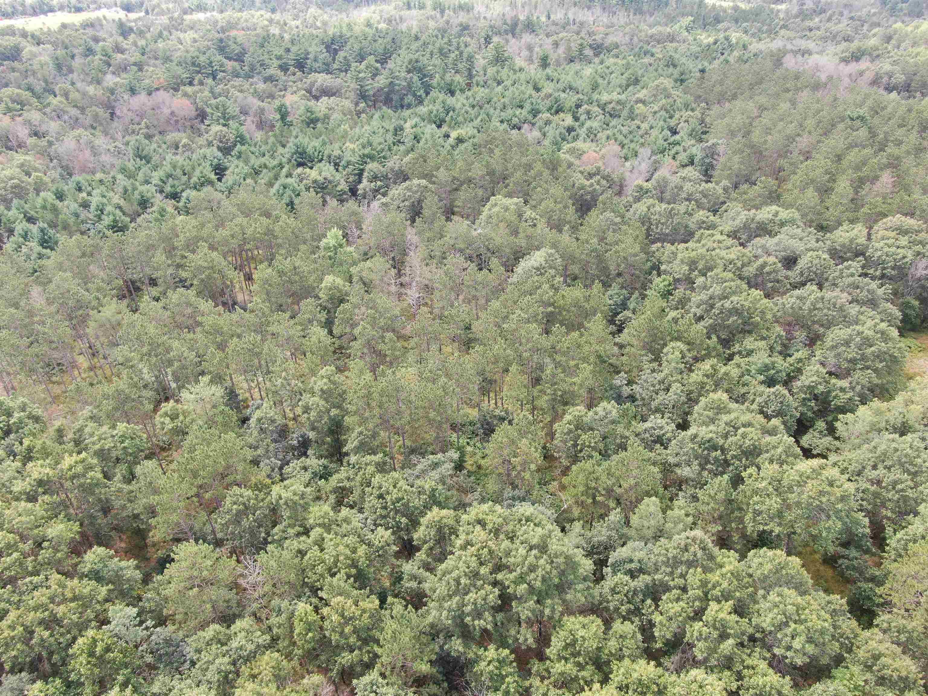 80-ac 80-ac 13th Avenue Arkdale, WI 54613 - Photo 6 of 35