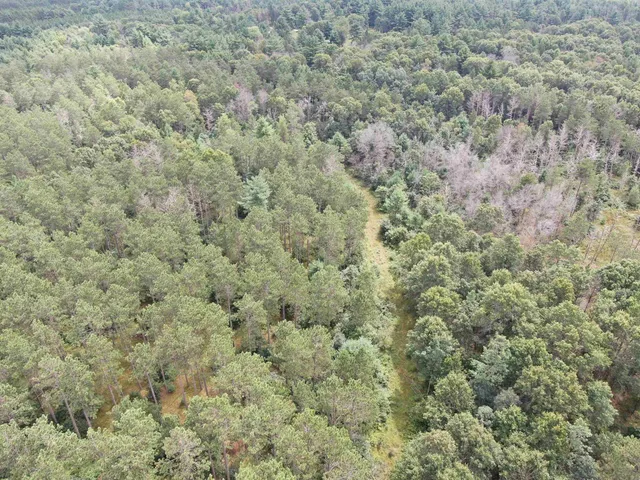 $400,000 | 80-ac 80-ac 13th Avenue, Arkdale, WI 54613