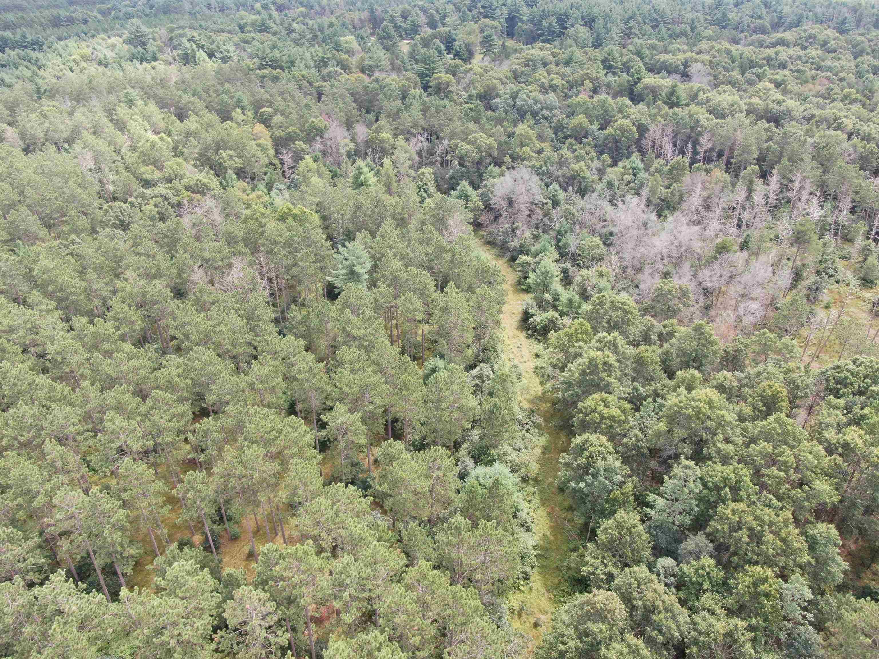 80-ac 80-ac 13th Avenue Arkdale, WI 54613 - Photo 7 of 35